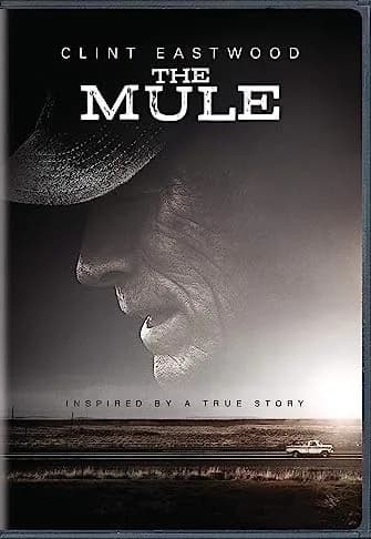Mule
