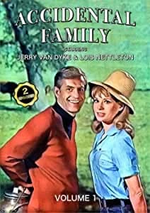 Accidental Family, Vol. 1