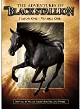 Adventures Of The Black Stallion, Vol. 1: Where There's A Will / Vigil / First Among Equals / Long Way Home / Stowaway / ...