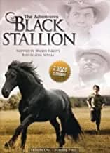 Adventures Of The Black Stallion: 1st Season, Vol. 2