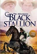 Adventures Of The Black Stallion: Season 2, Vol. 1