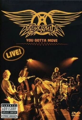 Aerosmith: You Gotta Move