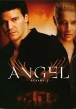 Angel (1999): Season 5 Special Edition