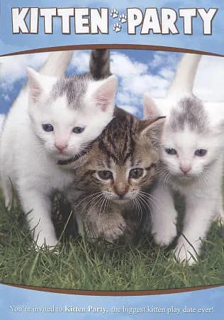 Animal Atlas (Animal Atlas): Kitten Party