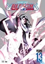 Bleach #13: The Rescue