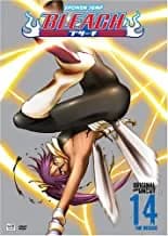 Bleach #14: The Rescue