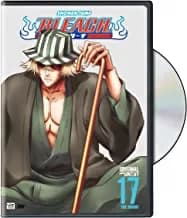 Bleach #17: The Bount