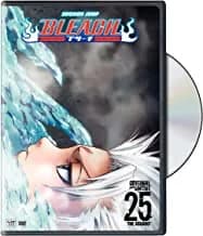 Bleach #25: The Assault