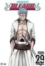 Bleach #29: The Arrancar