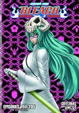 Bleach: Box Set 13