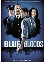 Blue Bloods: The 1st Season