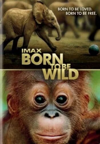 Born To Be Wild: IMAX