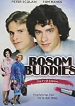 Bosom Buddies: The 1st Season