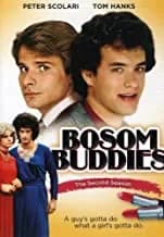 Bosom Buddies: The 2nd Season