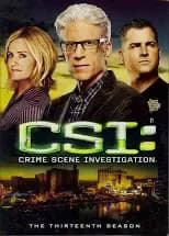 CSI: Crime Scene Investigation (Paramount): The Complete 13th Season
