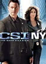 CSI: Crime Scene Investigation: NY: The Complete 6th Season