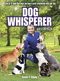Dog Whisperer With Cesar Millan: Season 4, Vol. 1