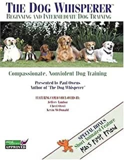 Dog Whisperer, Vol. 1: Beginning And Intermediate Dog Training