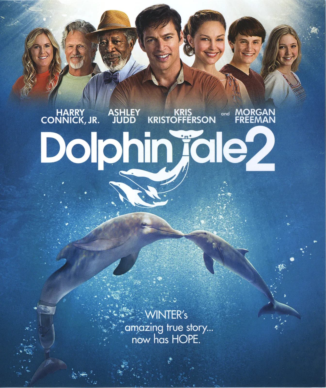Dolphin Tale 2