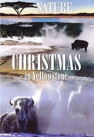 Nature: Christmas In Yellowstone