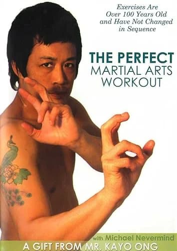 Perfect Martial Arts Workout With Michael Nevermind
