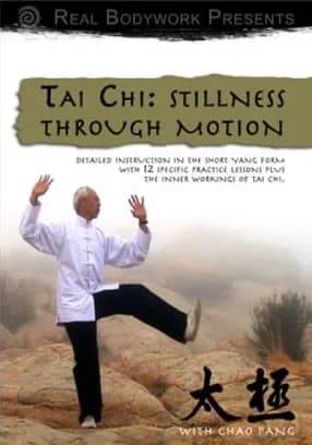 Tai Chi: Stillness Through Motion