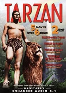 Tarzan, Vol. 1 - 2: Tarzan And The Green Goddess / Tarzan And The Trappers / Tarzan Of The Apes / Tarzan The Fearless / ...