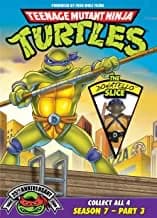 Teenage Mutant Ninja Turtles: Season 7, Part 3
