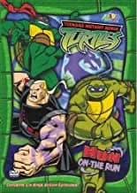 Teenage Mutant Ninja Turtles: Season 3, Vol. 7: Hun On The Run