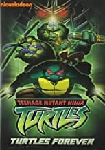 Teenage Mutant Ninja Turtles: Turtles Forever