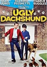 Ugly Dachshund