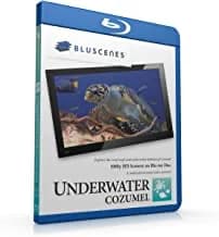 BluScenes: Underwater Cozumel