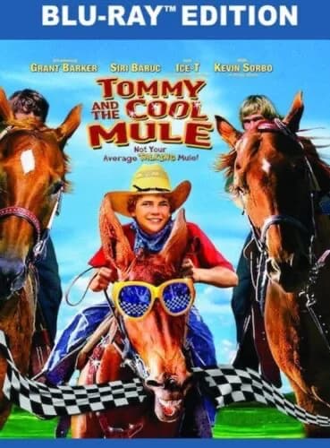 Tommy And The Cool Mule