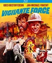 Vigilante Force