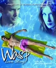 Wasp