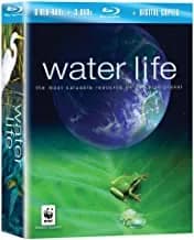 Water Life: Collection