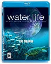 Water Life: The Big Blue