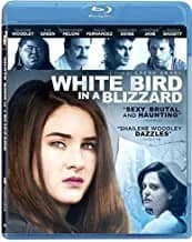 White Bird In A Blizzard