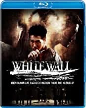 White Wall