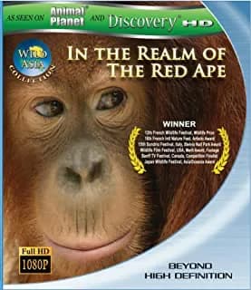 Wild Asia 1: In The Realm Of The Red Ape