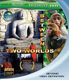 Wild Asia: Between Two Worlds