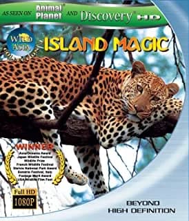 Wild Asia: Island Magic