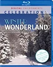 Winter Wonderland