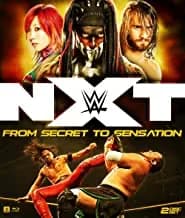 WWE: NXT: From Secret To Sensation