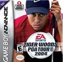 Tiger Woods 2004