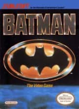 Batman The Video Game