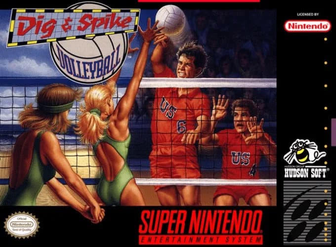 Dig & Spike Volleyball